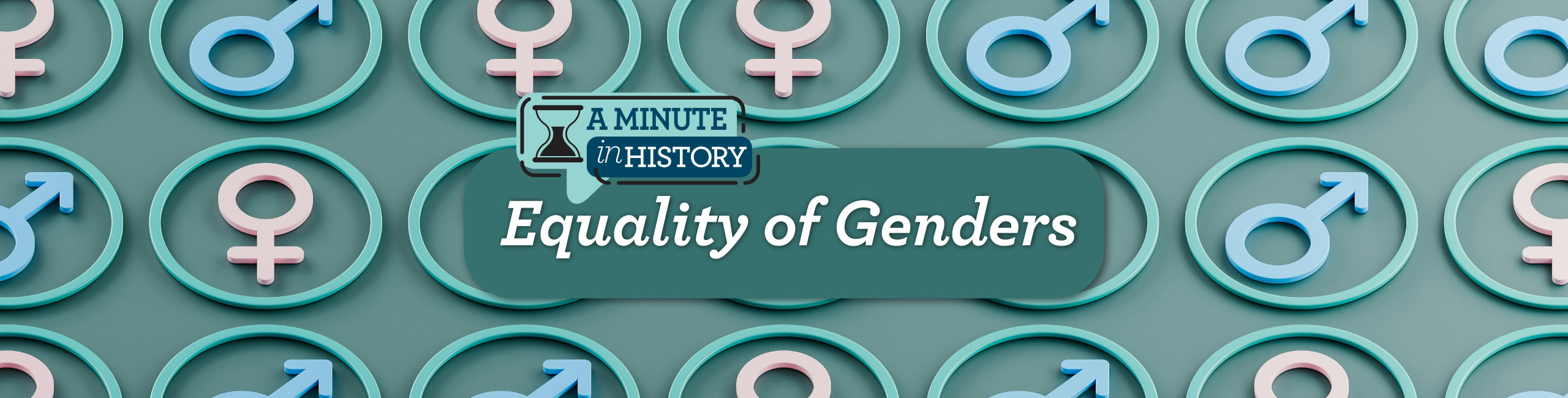 AMIH_Equality History