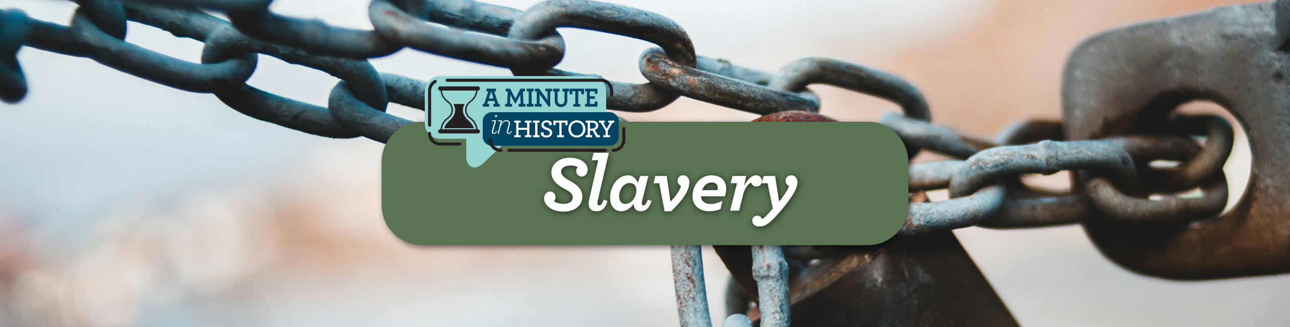 AMIH_Slavery History